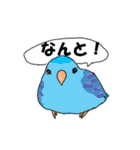 文鳥だもん（個別スタンプ：30）