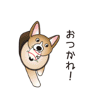 生きたボールとその仲間たち（個別スタンプ：16）