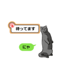 猫の掲示板（個別スタンプ：5）