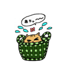 猫のクルミちゃんとマーブルくん（個別スタンプ：10）