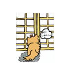猫のクルミちゃんとマーブルくん（個別スタンプ：14）