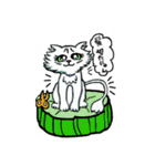 猫のクルミちゃんとマーブルくん（個別スタンプ：20）