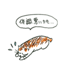 かぎしっぽさん（個別スタンプ：24）