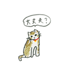 かぎしっぽさん（個別スタンプ：26）