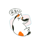 かぎしっぽさん（個別スタンプ：27）