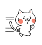 しろにゃんこの日常スタンプ（個別スタンプ：37）