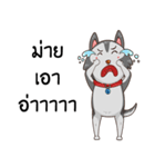 SIBONG（個別スタンプ：7）