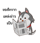 SIBONG（個別スタンプ：10）