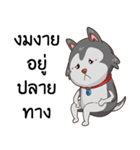 SIBONG（個別スタンプ：16）