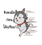 SIBONG（個別スタンプ：17）