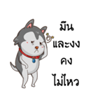 SIBONG（個別スタンプ：20）