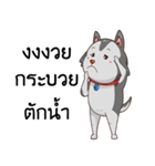 SIBONG（個別スタンプ：24）
