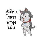 SIBONG（個別スタンプ：25）