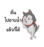 SIBONG（個別スタンプ：31）