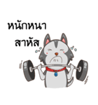 SIBONG（個別スタンプ：34）