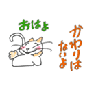 猫の日常会話。（個別スタンプ：10）