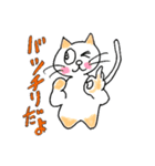 猫の日常会話。（個別スタンプ：17）