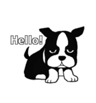 Doggy daily（個別スタンプ：1）