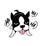 Doggy daily（個別スタンプ：9）