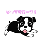 Doggy daily（個別スタンプ：16）