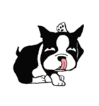 Doggy daily（個別スタンプ：17）