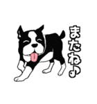 Doggy daily（個別スタンプ：29）