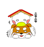 はなわんこ ＆ トワダック（個別スタンプ：17）