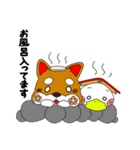 はなわんこ ＆ トワダック（個別スタンプ：31）