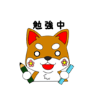 はなわんこ ＆ トワダック（個別スタンプ：39）