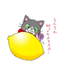 Hiroshima Cat 5 夏（個別スタンプ：5）