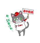 Hiroshima Cat 5 夏（個別スタンプ：25）