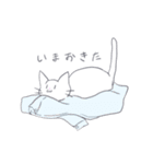 まめにゃんの日常（個別スタンプ：9）