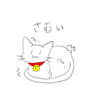 まめにゃんの日常（個別スタンプ：24）