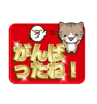 金文字にネコとヒヨコ（個別スタンプ：28）