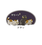 関西弁の吹き出し子猫（個別スタンプ：5）