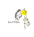 関西弁の吹き出し子猫（個別スタンプ：6）