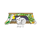 関西弁の吹き出し子猫（個別スタンプ：8）