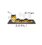 関西弁の吹き出し子猫（個別スタンプ：16）