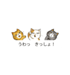 関西弁の吹き出し子猫（個別スタンプ：22）