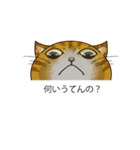 関西弁の吹き出し子猫（個別スタンプ：24）