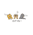 関西弁の吹き出し子猫（個別スタンプ：25）