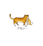 関西弁の吹き出し子猫（個別スタンプ：27）