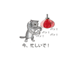 関西弁の吹き出し子猫（個別スタンプ：31）