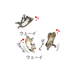 関西弁の吹き出し子猫（個別スタンプ：32）