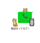 関西弁の吹き出し子猫（個別スタンプ：36）