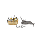 関西弁の吹き出し子猫（個別スタンプ：38）