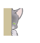 おいらハチワレ猫！（個別スタンプ：9）