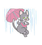 おいらハチワレ猫！（個別スタンプ：38）