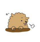 ポメラニアンのポン（個別スタンプ：15）