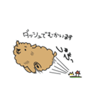 ポメラニアンのポン（個別スタンプ：17）